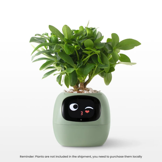 Smart Planter Endless Fun Over 49 Rich Expressions 7 Smart Sensors And AI Chips Make Raising Plants Easy And Fun