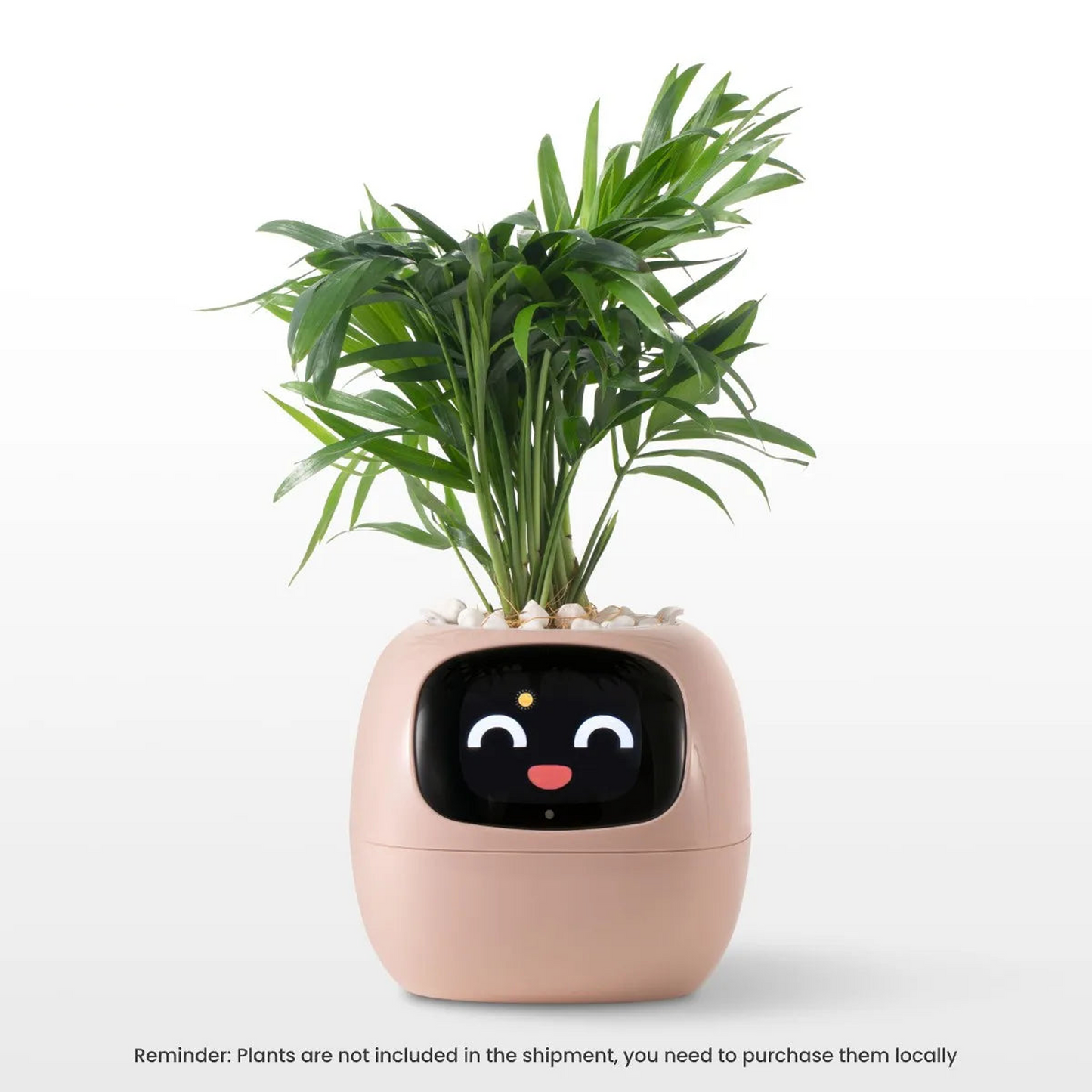 Smart Planter Endless Fun Over 49 Rich Expressions 7 Smart Sensors And AI Chips Make Raising Plants Easy And Fun