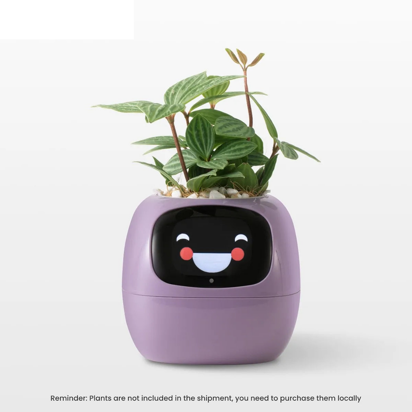 Smart Planter Endless Fun Over 49 Rich Expressions 7 Smart Sensors And AI Chips Make Raising Plants Easy And Fun