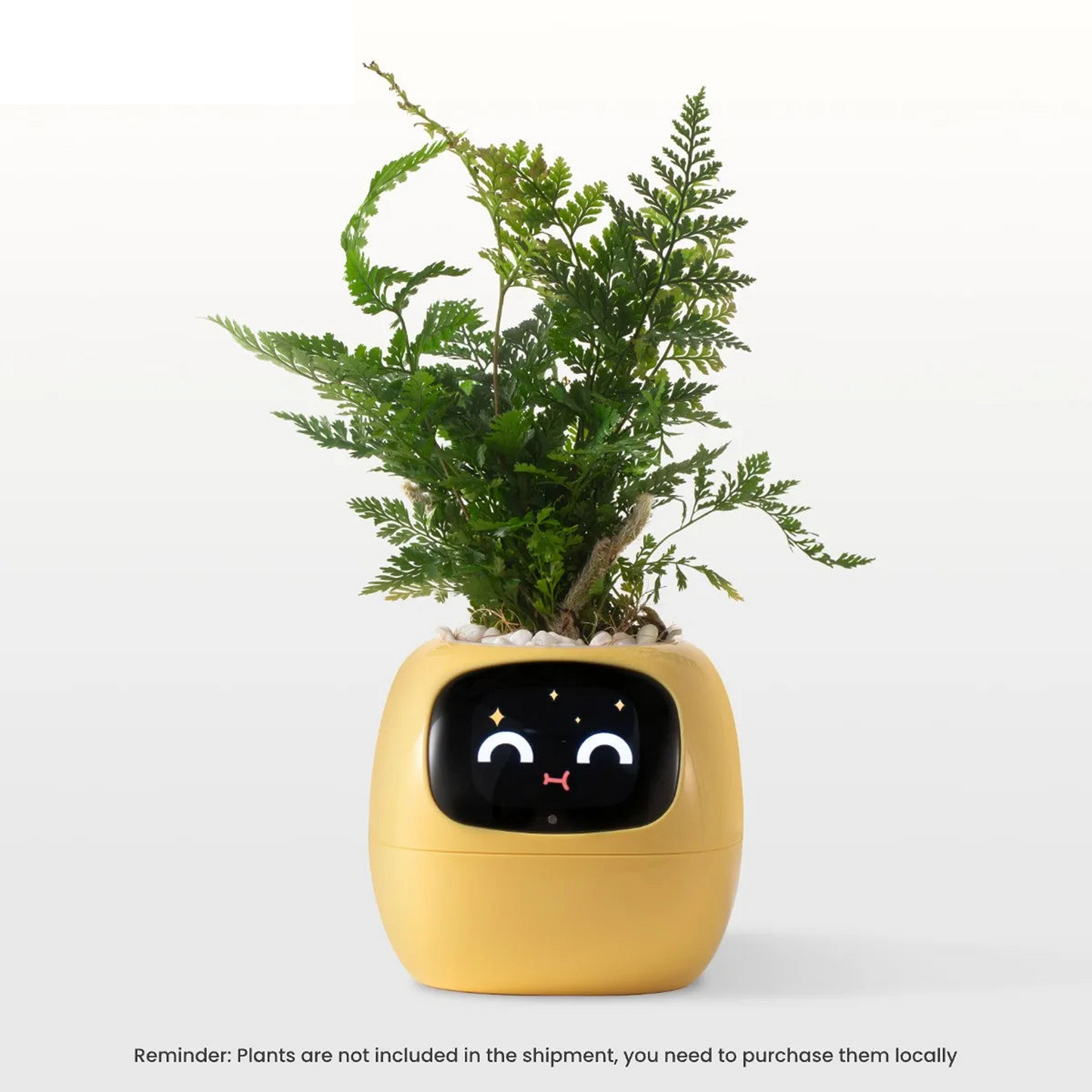 Smart Planter Endless Fun Over 49 Rich Expressions 7 Smart Sensors And AI Chips Make Raising Plants Easy And Fun